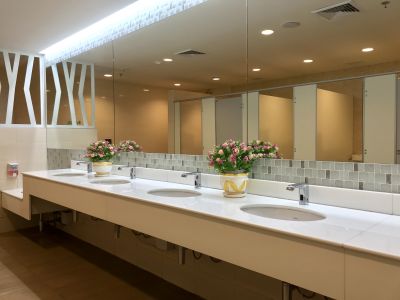 Vessel Sinks and Statement Vanities